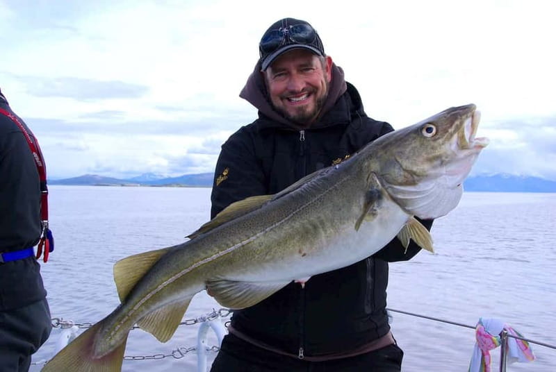 Tromsø: Fishing Sea Safari - Why the two-person crew matters