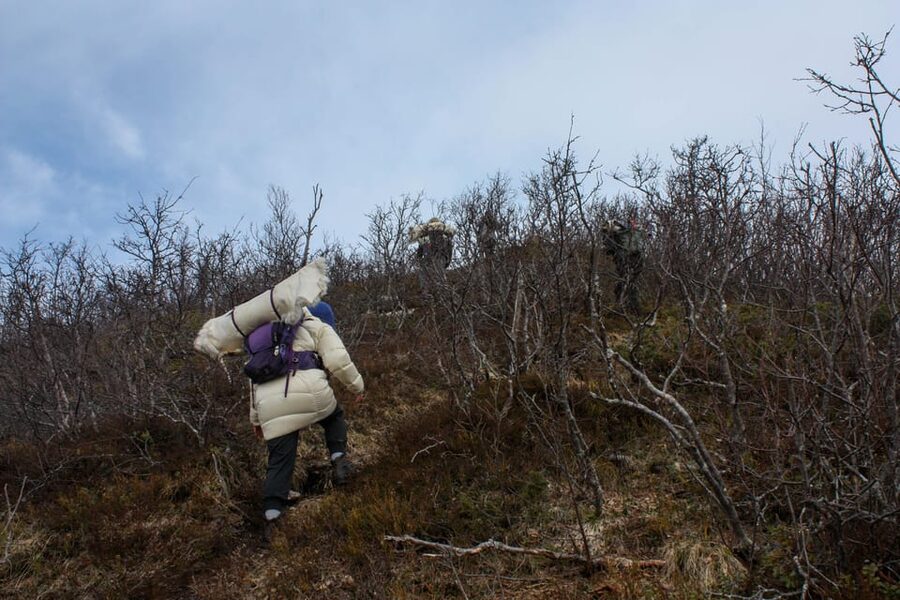 Tromsø: Ice Fishing and Snowshoe Hiking with a Local Guide - Meeting in Tromsø’s historic centre
