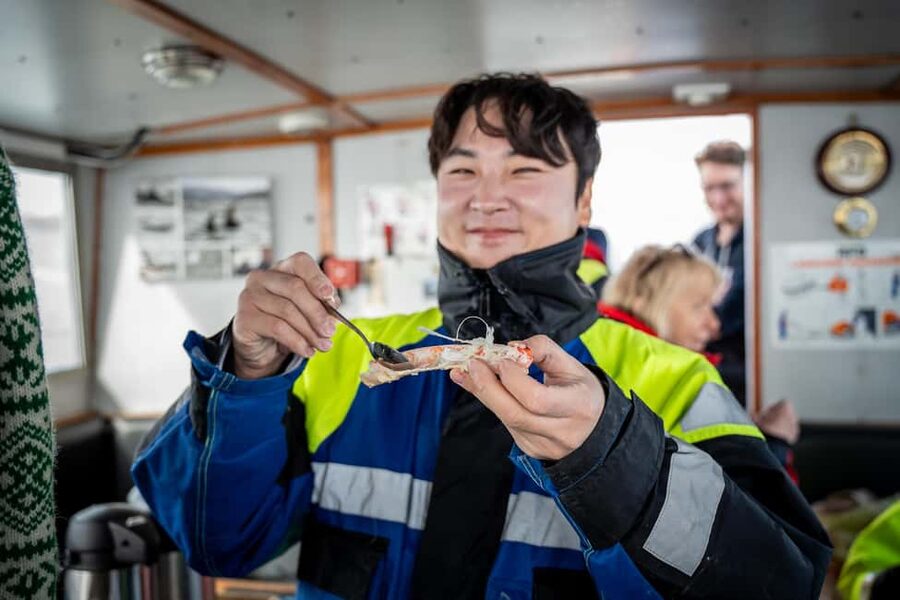Tromsø: Nocturnal cod fishing with meal. - Is $207 a Fair Price?