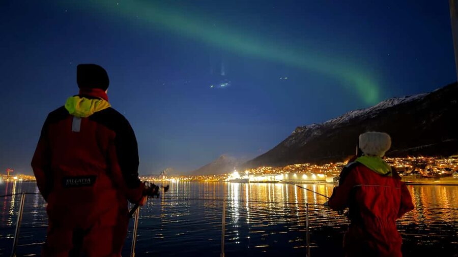 Tromsø: Nocturnal cod fishing with meal. - Practical Details Before You Book