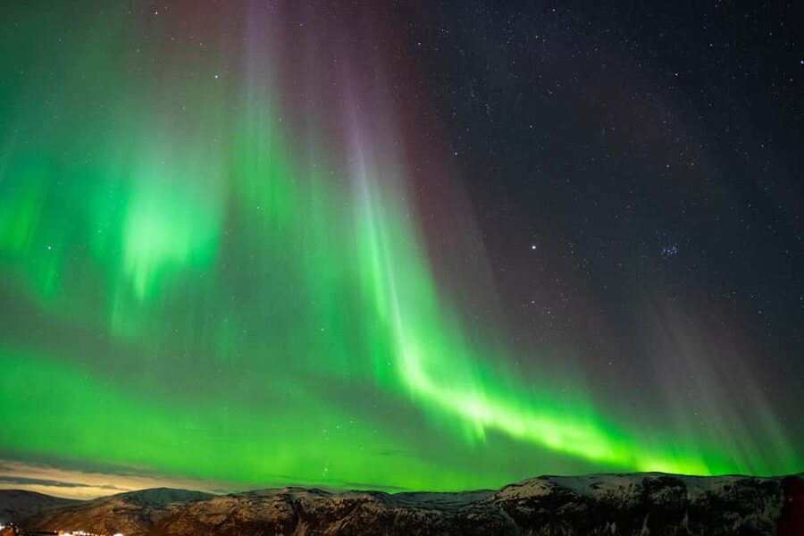 Tromsø: Nocturnal cod fishing with meal. - What You Might Catch, and What You Might Not