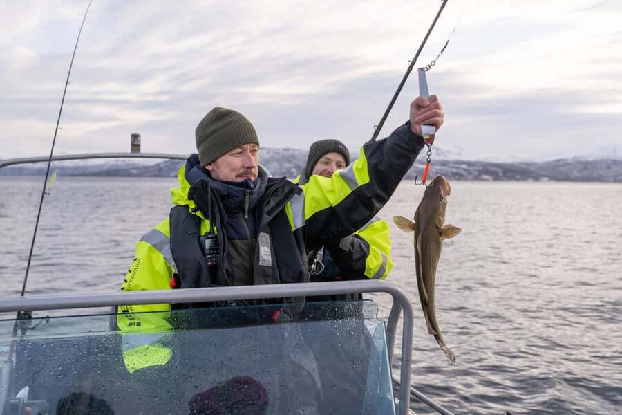 Tromsø: Private Fishing Tour - Starting at Skattøra Marina in Tromsø