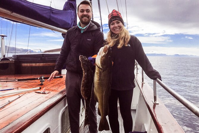 Tromsø Small Group Sea-to-Table Fishing Trip - Key things to know before you book