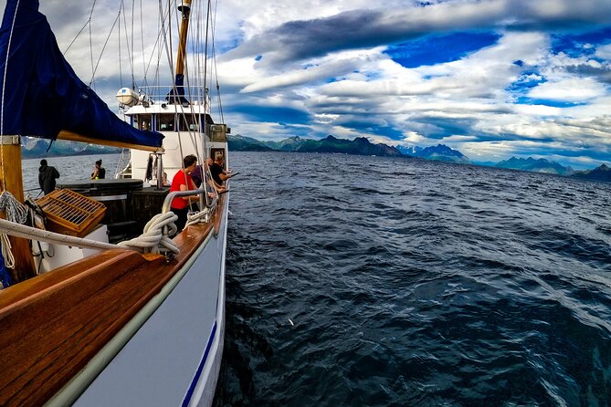 Tromsø Small Group Sea-to-Table Fishing Trip - Setting out from Sjøgata 35 at 10 a.m.