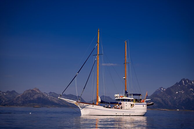 Tromsø Small Group Sea-to-Table Fishing Trip - Wildlife and the Arctic view