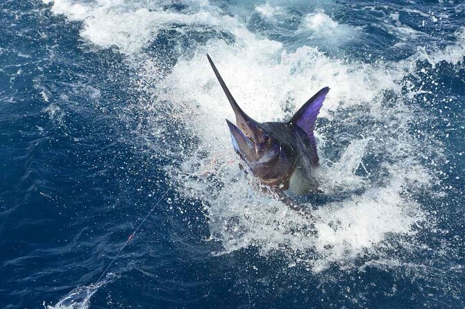 Tulum Deep Sea Fishing Tour - The catch-and-cook option at Zamas