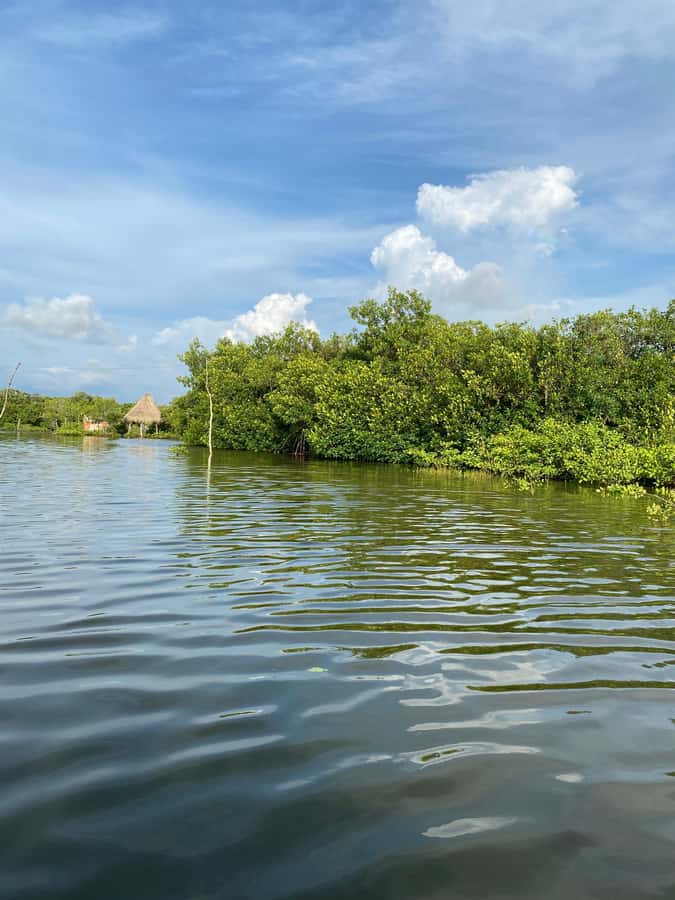 Typical lunch on beach, mangrove tour & fishing with natives - The seaside lunch at 12:30