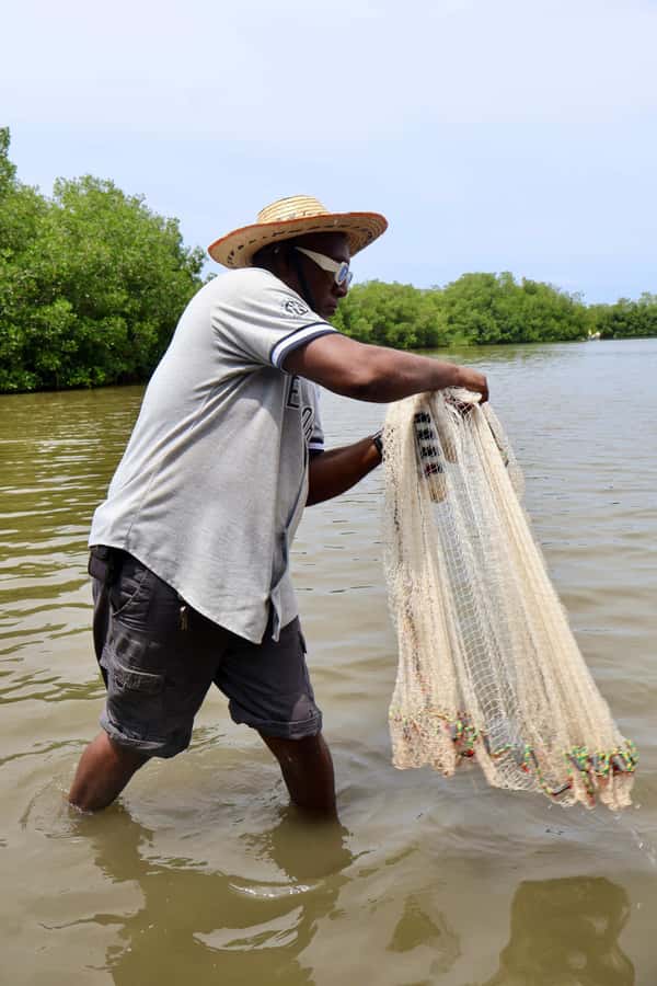Typical lunch on beach, mangrove tour & fishing with natives - How the guides shape the day