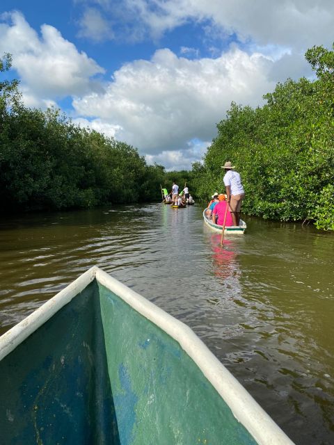 Typical lunch on beach, mangrove tour & fishing with natives - Price, timing, and overall value