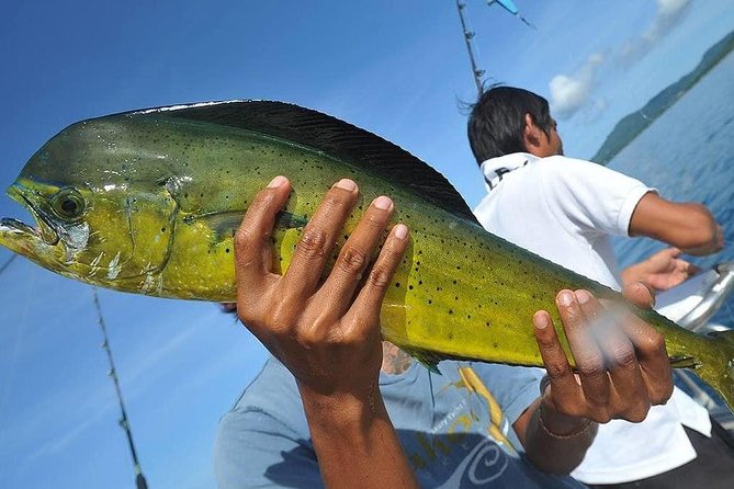 Ultimate Full-Day Big Game Fishing & Trolling Tour - Who will enjoy this day on the water?