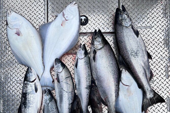 Ultimate Ketchikan Salmon and Halibut Fishing Adventure - Why This Ketchikan Charter Makes Sense