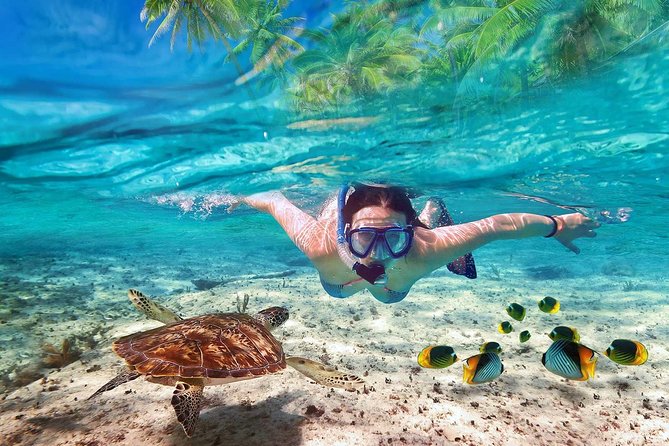 V.I.P Snorkeling & Fishing Tour ( Speed Boat ) Minimum 02 people - Quick facts about this Nha Trang boat trip