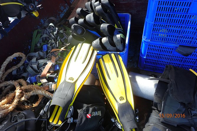 V.I.P Snorkeling & Fishing Tour ( Speed Boat ) Minimum 02 people - Why this tour works for a half-day on Nha Trang Bay