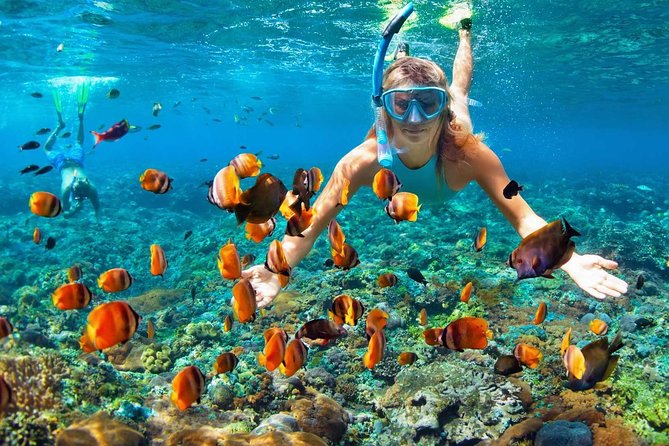 V.I.P Snorkeling & Fishing Tour ( Speed Boat ) Minimum 02 people - Bamboo Island lunch and a quieter final stop