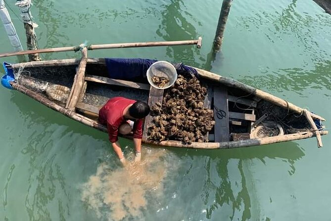 Vietnam/Lang Co Oyster Tour by Fishing & Tasting Oyster Flavors - Key details before you book
