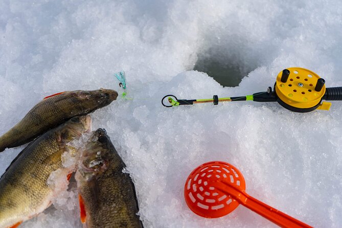 VIP Ice Fishing "ICEBREAKER" Lunch in Glass Igloo - Snowmobiles for adults and children