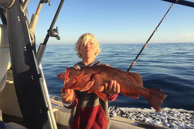 Whale Watching and Fishing Combination Excursions - Weather, cancellations, and practical preparation