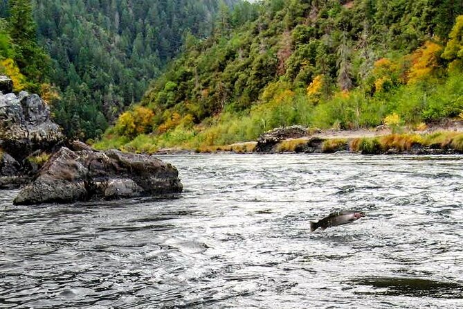Whitewater Fishing and Rafting Experience in Rogue River - Day one: meeting the river at Almeda County Park