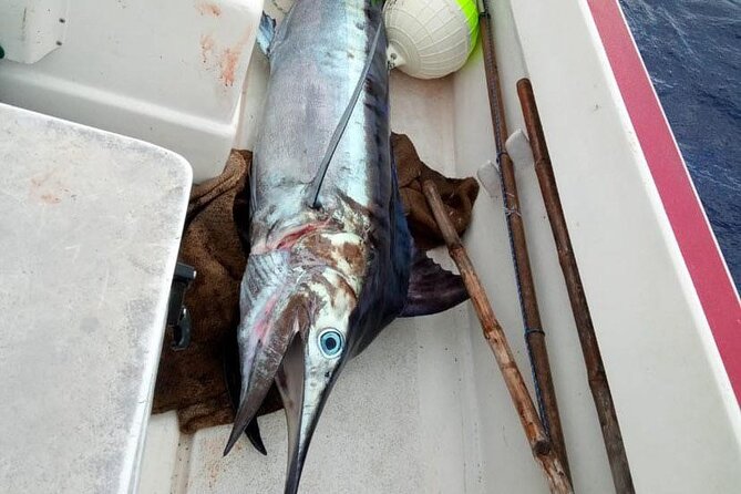 Wholesale Fishing in Poti Marara at Tahiti Teahupoo Peninsula - What the $327.95 price means