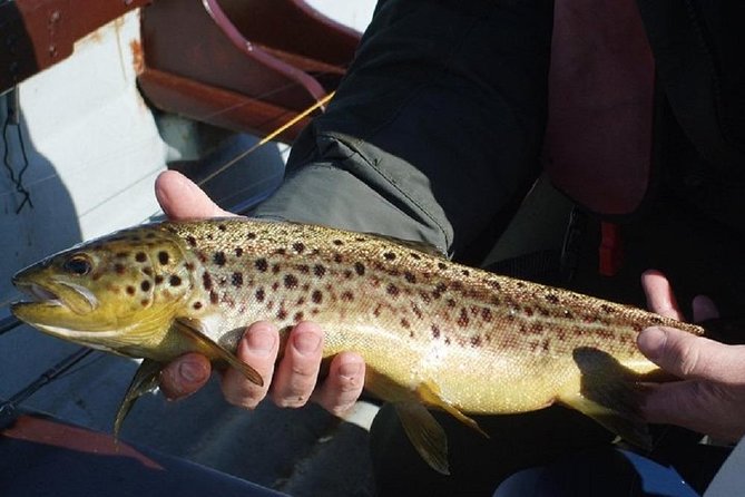 Wild Brown Trout fishing. Lough Corrib. French speaking Ghillie/Guide. Full day. - What to bring for a long day outdoors