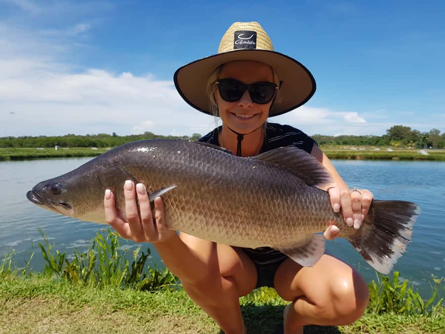 Wonga Beach: Hook-A-Barra Fishing Experience - Key points to know before you book