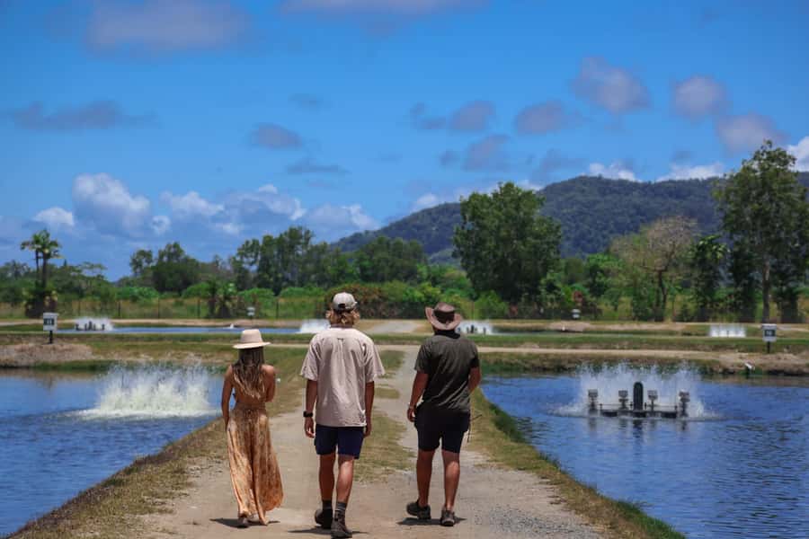 Wonga: Guided Fishing, Farming and Tasting Tour - Watching a professional hand-harvest