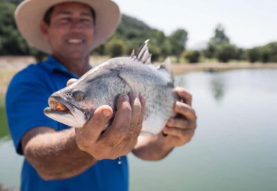 Wonga: Guided Fishing, Farming and Tasting Tour
