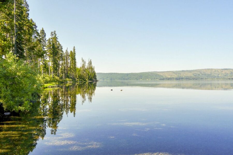 Yellowstone: Private Lewis Lake Fishing Trip From Jackson - What a Full Eight Hours Looks Like