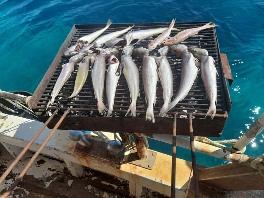 Zadar: Fishing Boat Trip with Lunch and Swimming Included - Morning departure through the Zadar Channel