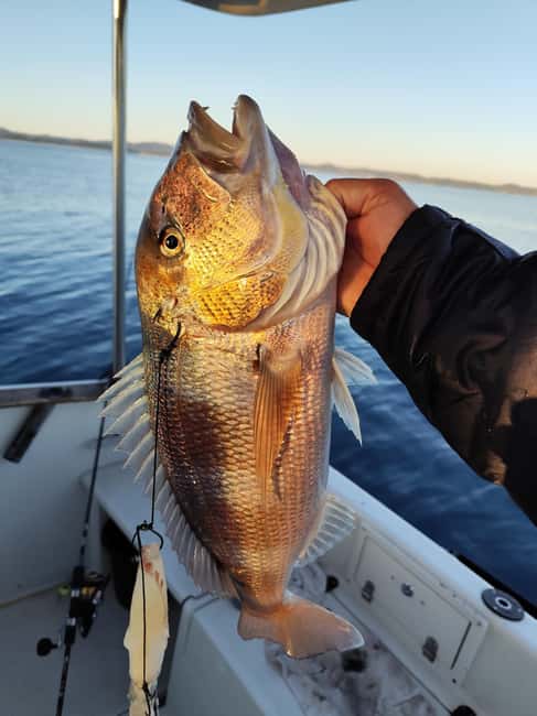 Zadar: Sunset Fishing Half-Day Guided Boat Trip - The final call: a personal fishing trip with a strong local touch