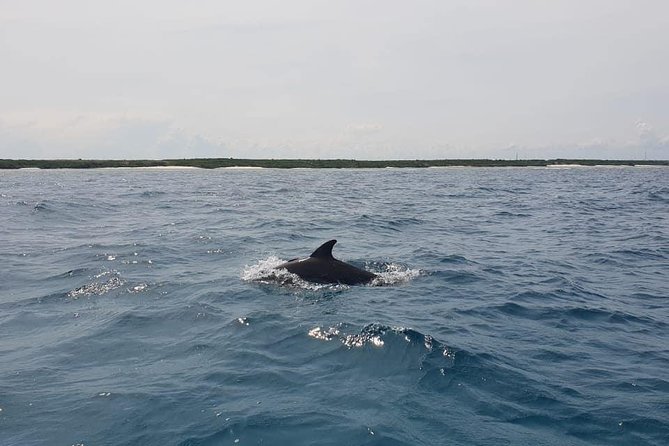 Zanzibar Deep Sea Fishing & Local fishing. - Is $300.70 good value for two people?