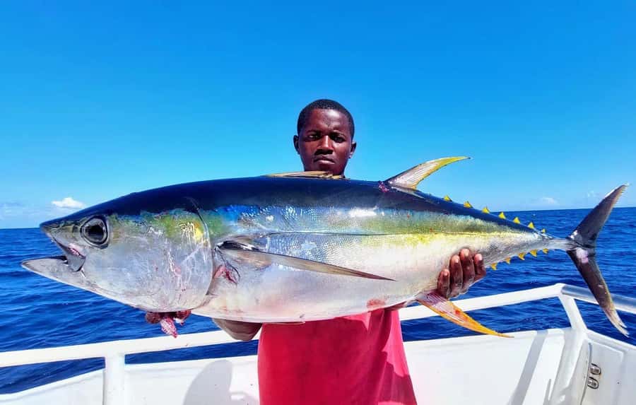 ZANZIBAR FISHING EXPRIENCE - Key points before you book